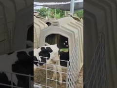 Equipamento da exploração leiteira Calf Hutch