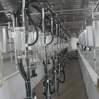 Bom preço. Mecânico de fluxo de leite de vidro De Laval on-line